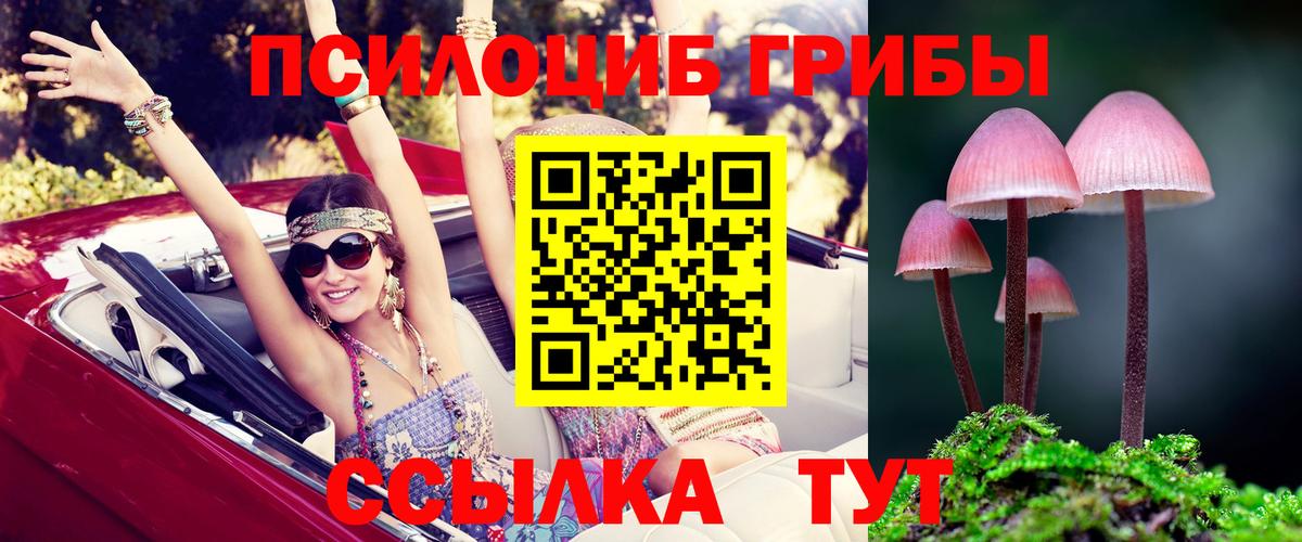 Псилоцибиновые грибы MAGIC MUSHROOMS  Вход с VPN  Гусиноозёрск 